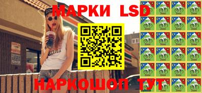крисы Пенза