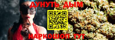 крисы Пенза