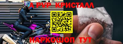 крисы Пенза