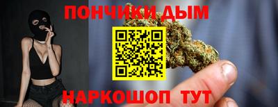 крисы Пенза
