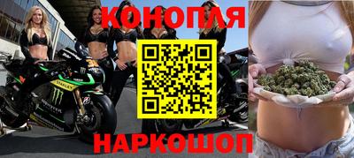 крисы Пенза
